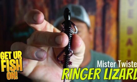 Mister Twister Ringer Bass Fishing Lizard: Large Mouth Fishing Lure