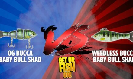 Original Bucca Baby Bull Shad VERSUS Weedless Bass Fishing Lure