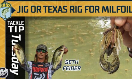 Bassmaster – Seth Feider's grass flipping debate: Texas Rig vs. Jig in Milfoil