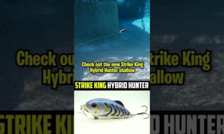 Strike King Hybrid Hunter: The Best New Fishing Crankbait?? #shorts