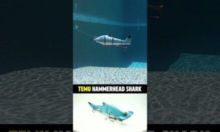 Temu Bass Fishing Shark – LEGIT OR BEEP? See For Yourself! #shorts