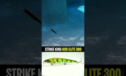 The GREATEST NEW Jerkbait? The Strike King KVD Elite 300 #shorts