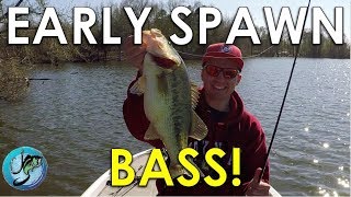 The Key To Finding Spawning Bass | Bass Fishing Strategies
