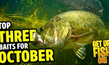 The Ultimate October 2023 Fishing Guide: Don't Miss These 3 Lures!