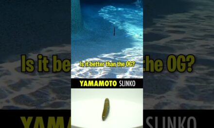 Yamamoto Slinko: FIRST LOOK Bass Fishing Floating Stick Bait #shorts