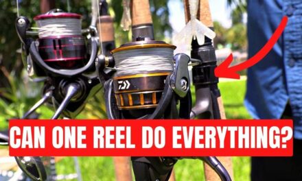 Salt Strong | – Can ONE Spinning Reel Do EVERYTHING? [Inshore Fishing Edition]