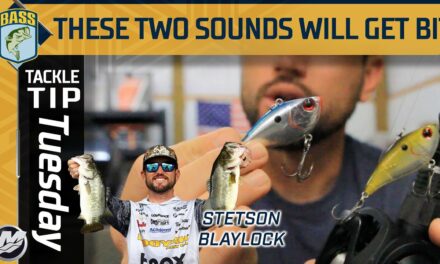 Bassmaster – Catch more fish feeding on baitfish in the Fall with this trusted lure
