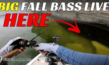 Don't Overlook These Deadly Fall Bass Fishing Banks
