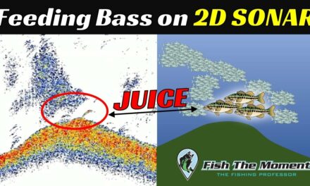 Finding The Needle In a Haystack With 2D Sonar | Big Bass on Shad with Electronics