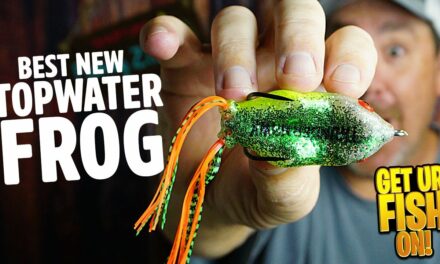 GREATEST TOPWATER BASS FISHING FROG? Thunderhawk Lures DRT Frog