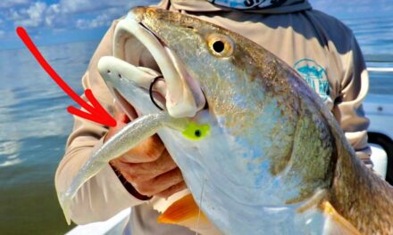 Salt Strong | – How To Catch Big Redfish on Popping Corks (With Artificial Lures)
