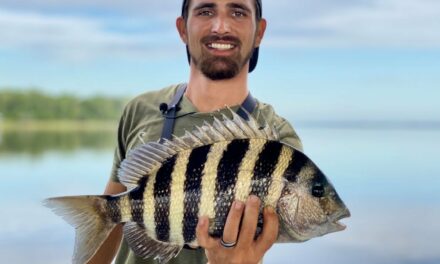 Salt Strong | – How To Tie The Best Rig To Catch Big Sheepshead Around Structure