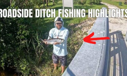 Salt Strong | – Roadside Ditch Snook & Tarpon Fishing In The Everglades
