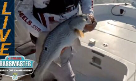 Bassmaster – Schlapper plagued with big Redfish oversized fish