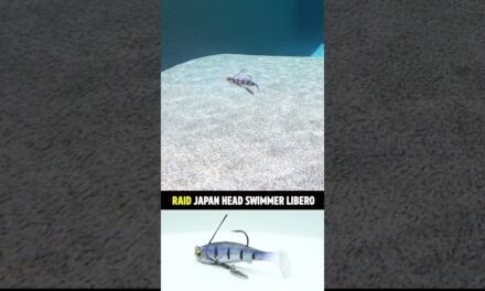 Small Compact Bass Fishing Underspin: Raid Japan Head Swimmer Libero #shorts