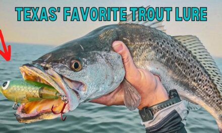 Salt Strong | – Texas' Favorite Lure For Trout (Does It Work In Other States?)