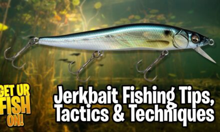 The ABC's of Jerkbait GIANT Bass Fishing Tips, Tactics and Techniques