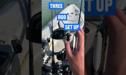 Salt Strong | – The Three Rod Setup (Inshore Fishing 101)