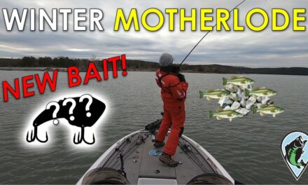Winter Bass in 30ft Rock Piles with Blade Bait! | Offshore Winter Bass Fishing Table Rock Lake