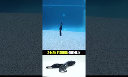 Z-Man Fishing Soft Plastic Creature Bait GREMLIN – Legit or BEEP? #shorts