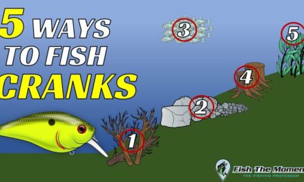 5 Ways to Fish Crankbaits for Fall Bass