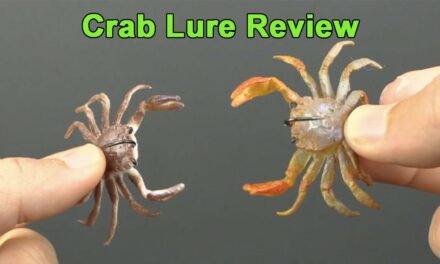 Salt Strong | – Best Crab Lure For Sheepshead (Chasebaits Crusty Crab Review)