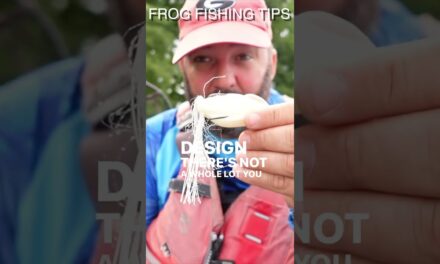 FlukeMaster – Best Frogs for Topwater Bass Fishing