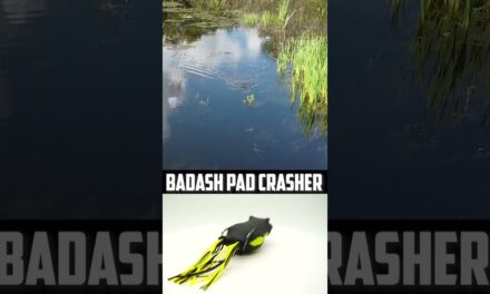 Blitz Lures Bad Ash Pad Crasher Topwater Bass Fishing Frog #shorts