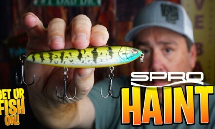Discover the Ultimate Giant Bass Lure! Prepare to be Amazed