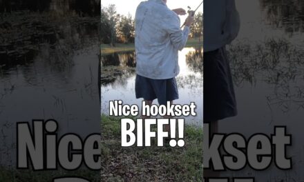EVERY Bass Fishing Anglers WORST Nightmare! #shorts