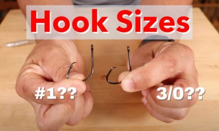 Salt Strong | – Everything You Need To Know About Fishing Hook Sizes