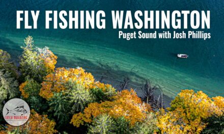 FLY FISHING the PUGET SOUND: Cutthroat & Coho fishing with Josh Phillips