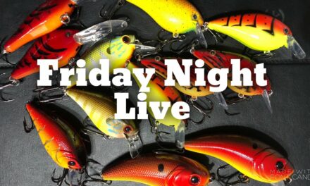 FlukeMaster – Friday Night Live – Let's talk about Stuff