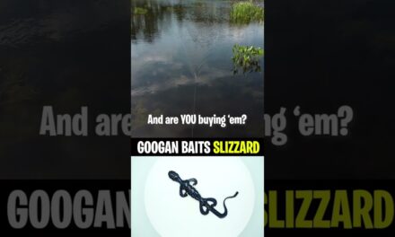 Googan Baits Slizzard Bass Fishing Soft Plastic Lizard #shorts