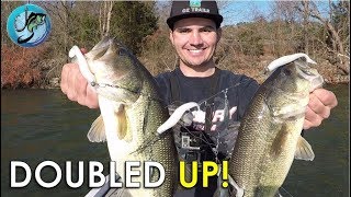 How To Fish Alabama Rigs For Winter Bass