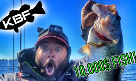FlukeMaster – Last minute big fish SAVES MY TOURNAMENT!