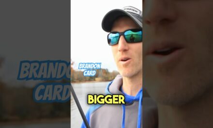 Bassmaster – Seek out STABLE water this Winter