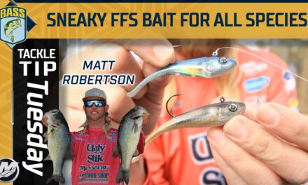 Bassmaster – Sneaky bait for those tricky FFS suspended bass
