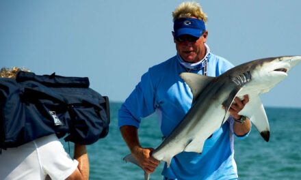 Tarpon and Shark Fishing off Cape Canaveral Florida Beaches