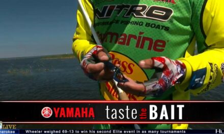 Bassmaster – Taste the Bait: How Timmy Horton caught monster bass on Lake Okeechobee