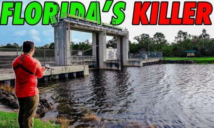 Lawson Lindsey – This is Destroying Florida's Waterways… and I Love It