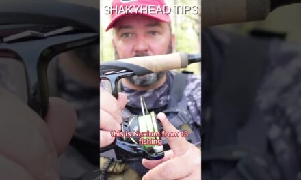 FlukeMaster – ❗️My shakeyhead rod setup❗️