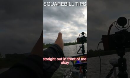 FlukeMaster – the secret to bass fishing with a squarebill