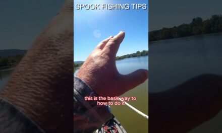 FlukeMaster – How to walk a spook the RIGHT way! 🎣🐟