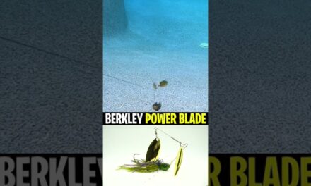 Berkley Power Blade Bass Fishing Spinnerbait #shorts