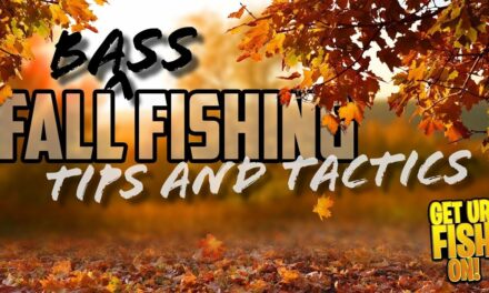 Catch MORE BASS in the Fall – DOMINATE THE FALL FISHING SEASON