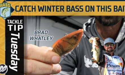 Bassmaster – Catch more winter bass by power fishing this bait