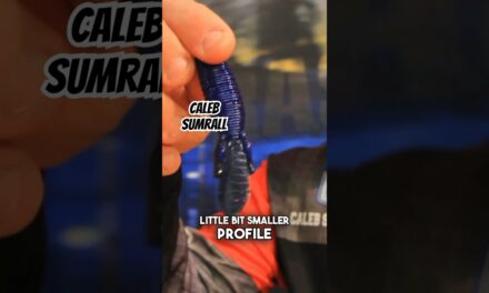 Bassmaster – Changing bait profiles can lead to winter flipping success
