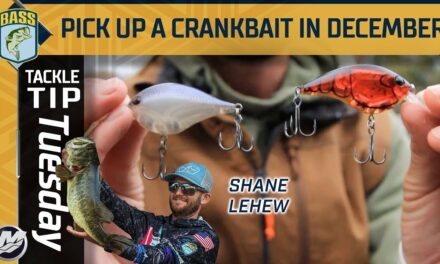 Bassmaster – Cranking shallow structure for early Winter bass