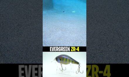 Evergreen Internation ZR-4 Zeruch Shallow Water Bass Fishing Crankbait #shorts